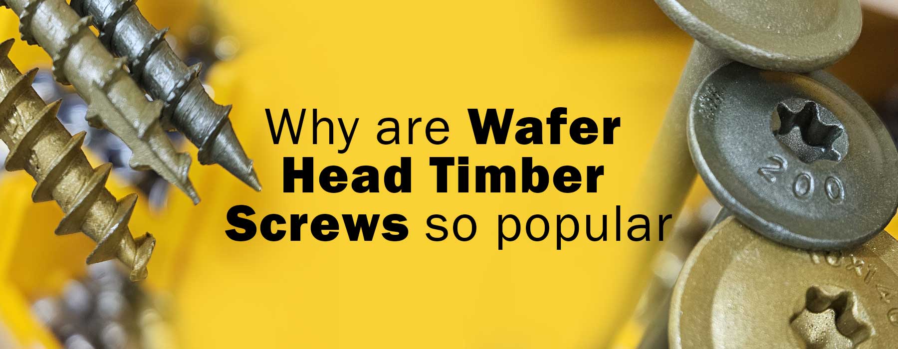 Why are wafer head timber screws so popular?