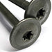 Wafer head image for the Spectre Torx Wafer Head Timber Screws