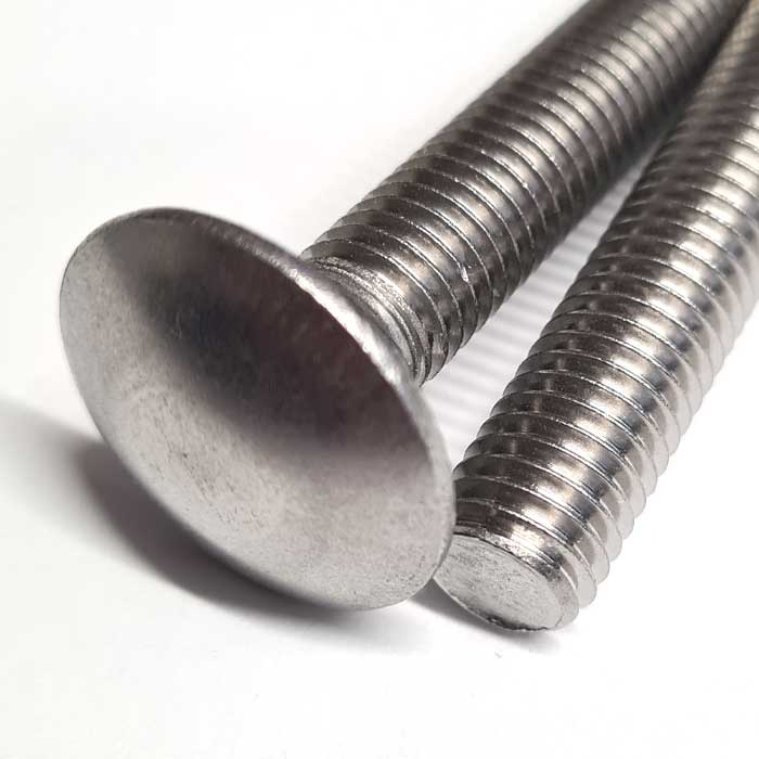 Detail image for a stainless steel Carriage bolt (Coach Bolt) from Fusion Fixings.