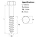Size diagram for the M12 x 100mm Coach Screw A4 Stainless Steel DIN 571