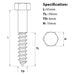 Size guide illustration for the M6 x 65mm Coach Screw A4 Stainless Steel DIN 571. 
