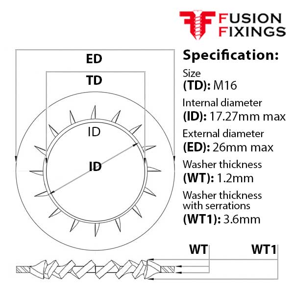 M16 Internal Fine Tooth Shakeproof Locking Washer A2 (304) Stainless Steel, DIN 6798J