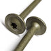 Detail image for the wafer head timber screw from Fusion Fixings